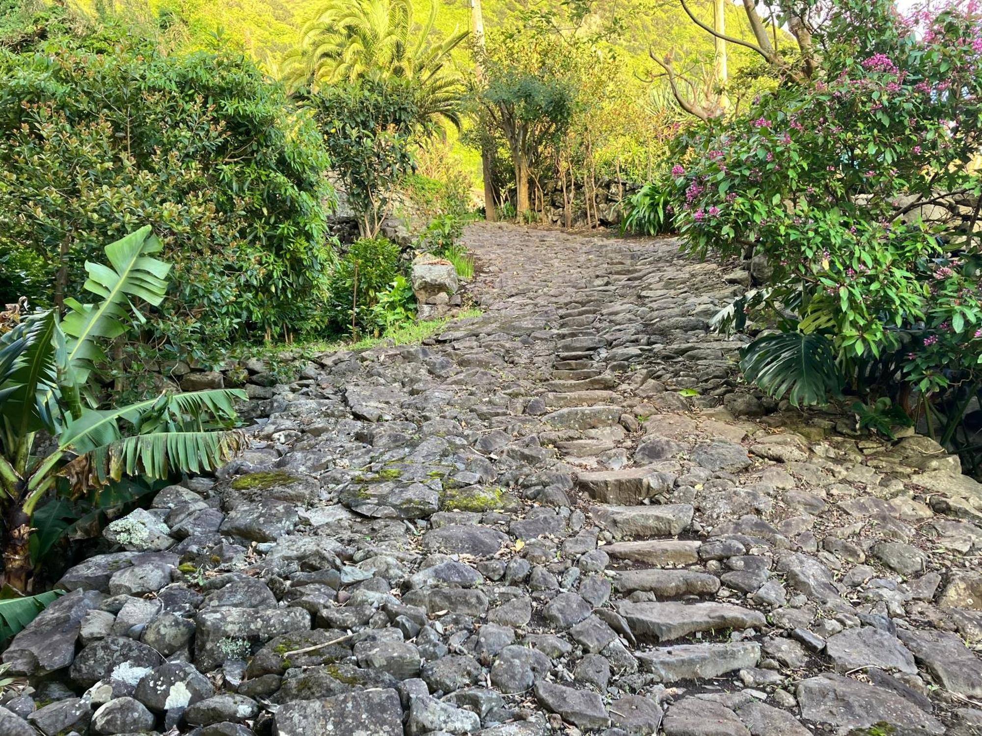 Vistalinda Farmhouse Faja dos Vimes المظهر الخارجي الصورة