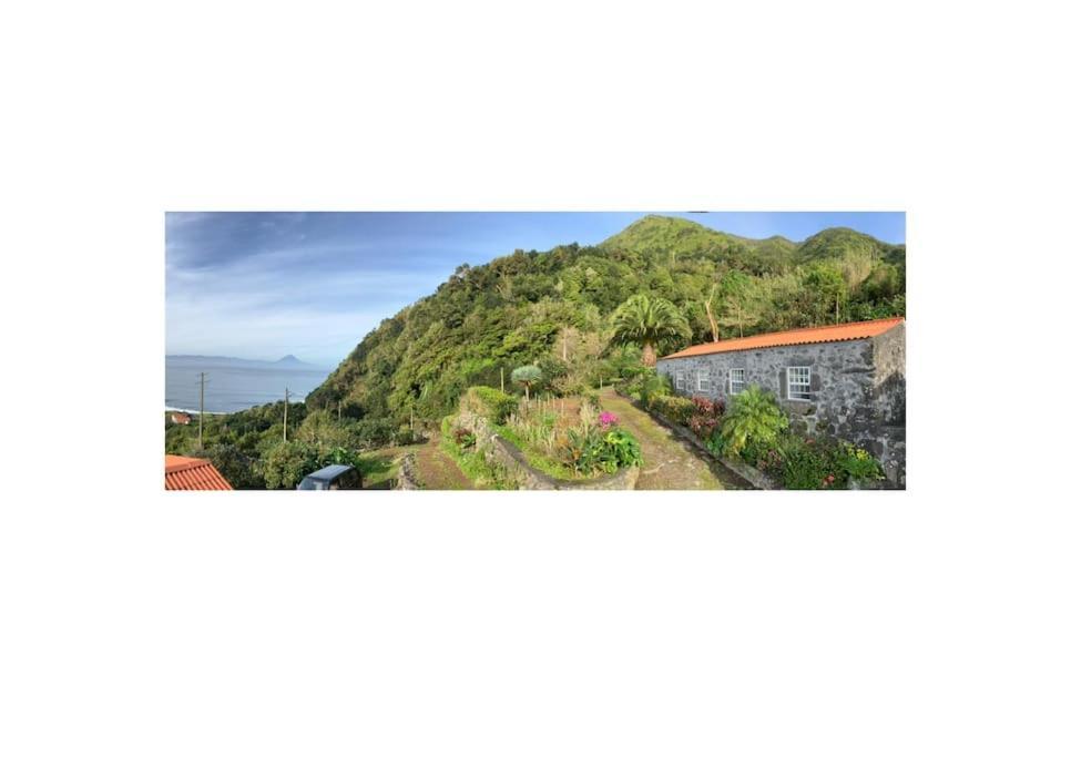 Vistalinda Farmhouse Faja dos Vimes المظهر الخارجي الصورة