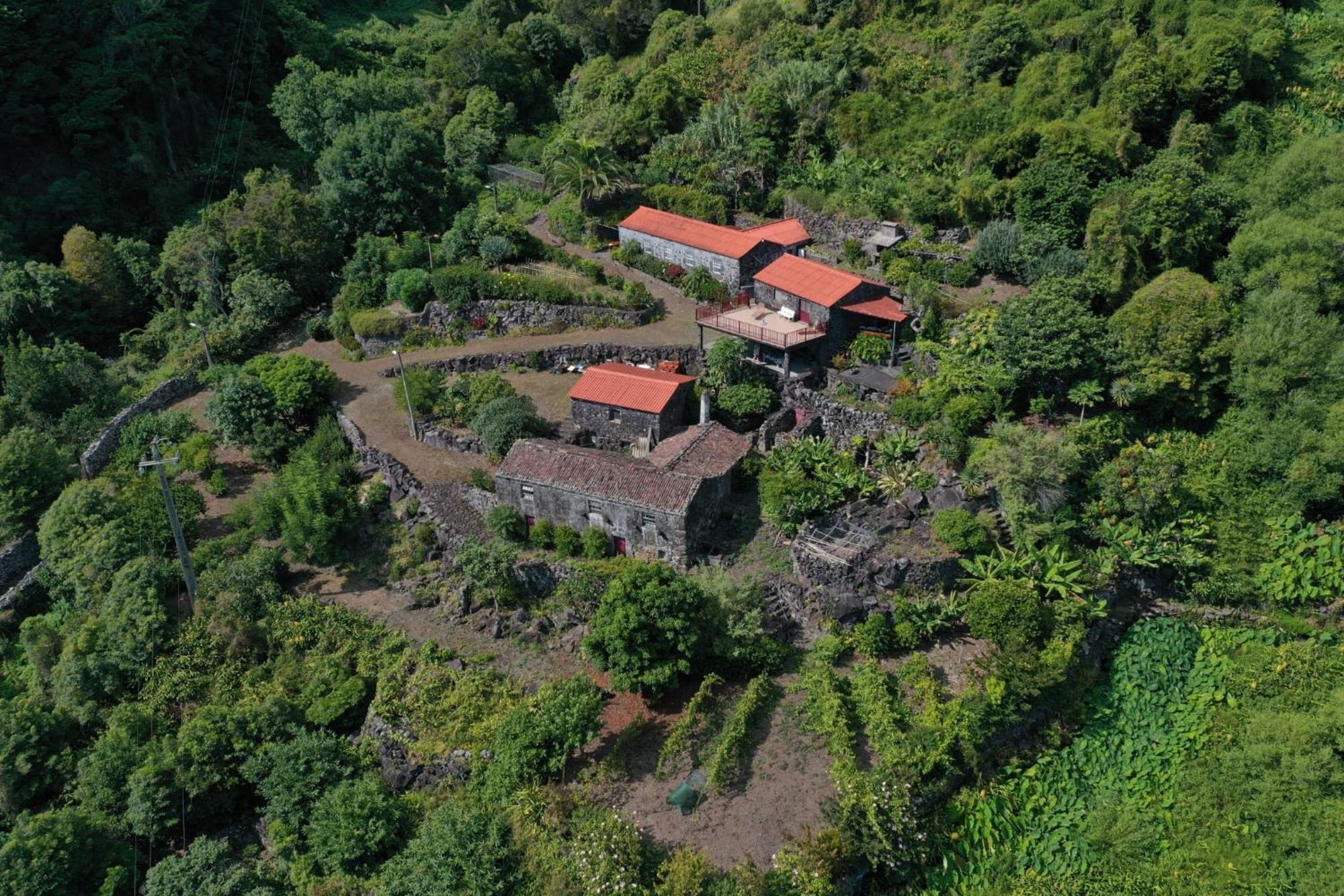 Vistalinda Farmhouse Faja dos Vimes المظهر الخارجي الصورة